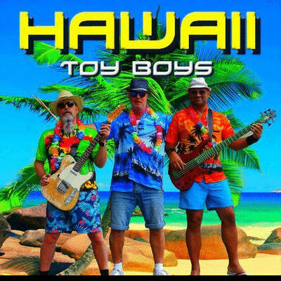 hawaii-toy-boys